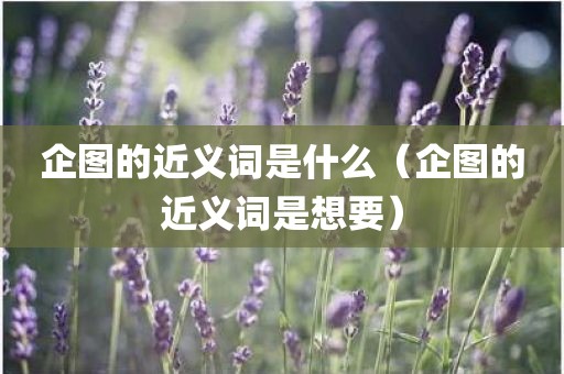 企图的近义词是什么（企图的近义词是想要）