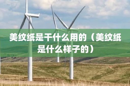 美纹纸是干什么用的（美纹纸是什么样子的）