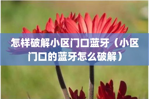 怎样破解小区门口蓝牙（小区门口的蓝牙怎么破解）