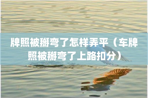 牌照被掰弯了怎样弄平（车牌照被掰弯了上路扣分）