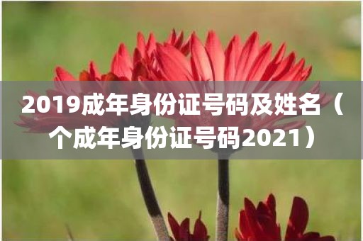 2019成年身份证号码及姓名（个成年身份证号码2021）