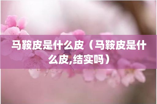 马鞍皮是什么皮（马鞍皮是什么皮,结实吗）