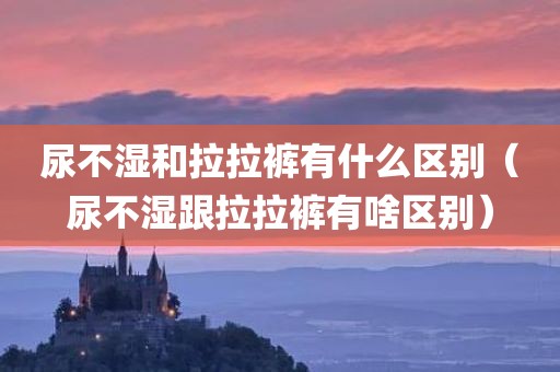 尿不湿和拉拉裤有什么区别（尿不湿跟拉拉裤有啥区别）