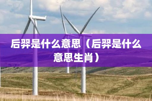 后羿是什么意思（后羿是什么意思生肖）