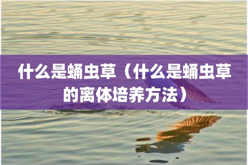什么是蛹虫草（什么是蛹虫草的离体培养方法）