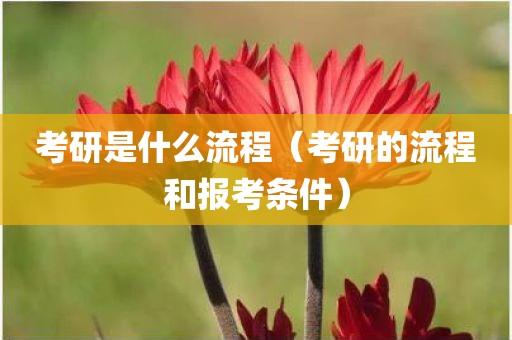 考研是什么流程（考研的流程和报考条件）