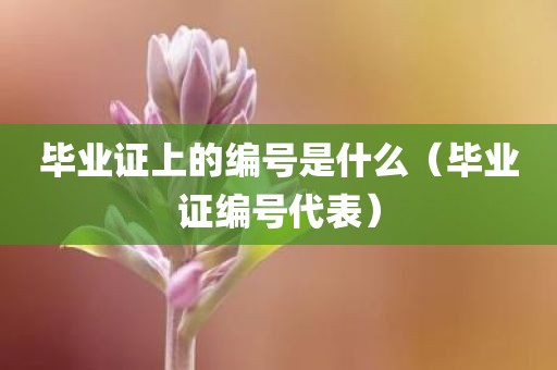 毕业证上的编号是什么（毕业证编号代表）
