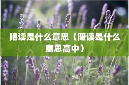 陪读是什么意思（陪读是什么意思高中）