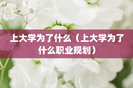 上大学为了什么（上大学为了什么职业规划）