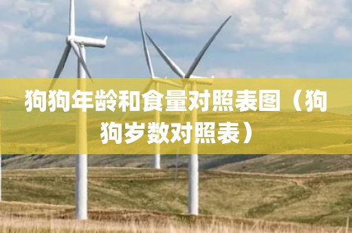 狗狗年龄和食量对照表图（狗狗岁数对照表）