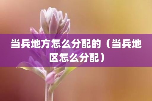 当兵地方怎么分配的（当兵地区怎么分配）