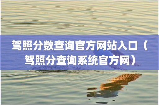 驾照分数查询官方网站入口（驾照分查询系统官方网）
