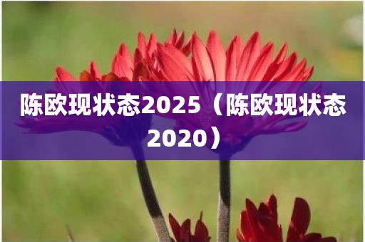 陈欧现状态2025（陈欧现状态2020）