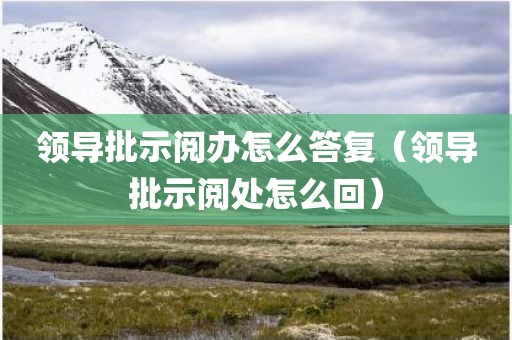 领导批示阅办怎么答复（领导批示阅处怎么回）