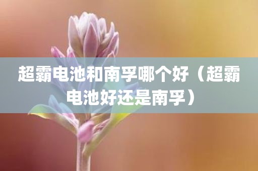超霸电池和南孚哪个好(超霸电池好还是南孚)