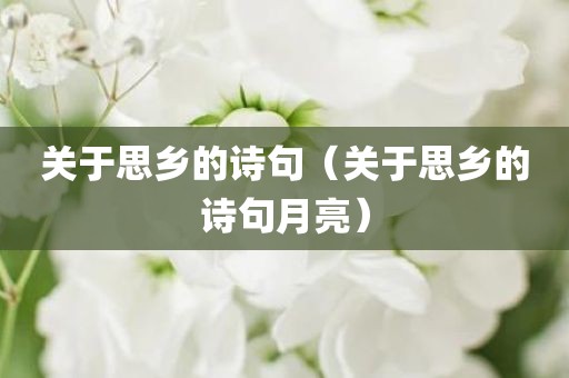 关于思乡的诗句（关于思乡的诗句月亮）