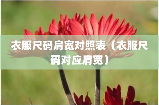 衣服尺码肩宽对照表（衣服尺码对应肩宽）