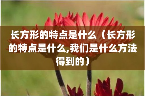 长方形的特点是什么（长方形的特点是什么,我们是什么方法得到的）