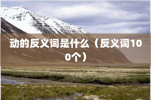 动的反义词是什么（反义词100个）