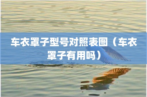 车衣罩子型号对照表图（车衣罩子有用吗）
