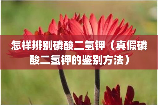 怎样辨别磷酸二氢钾（真假磷酸二氢钾的鉴别方法）