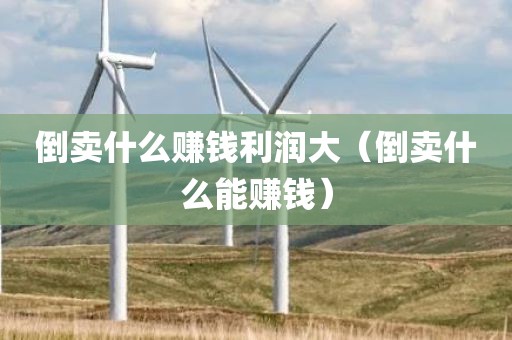 倒卖什么赚钱利润大（倒卖什么能赚钱）
