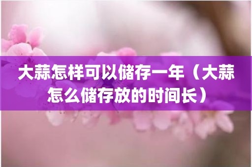 大蒜怎样可以储存一年（大蒜怎么储存放的时间长）