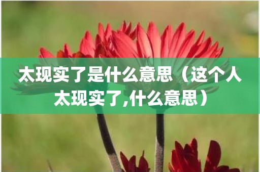 太现实了是什么意思（这个人太现实了,什么意思）