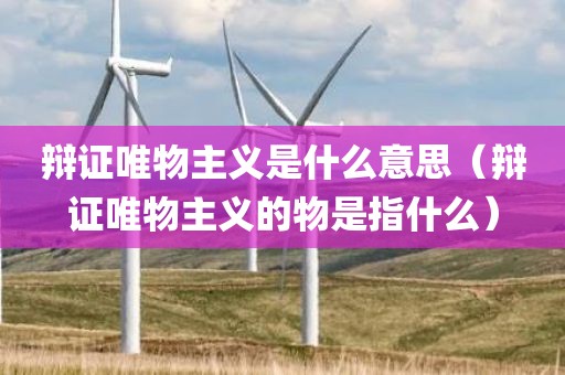 辩证唯物主义是什么意思（辩证唯物主义的物是指什么）