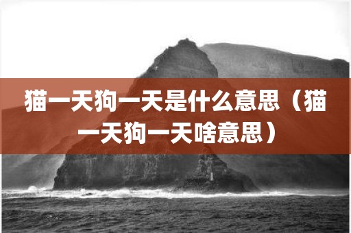 猫一天狗一天是什么意思（猫一天狗一天啥意思）