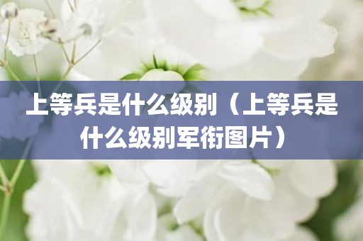 上等兵是什么级别（上等兵是什么级别军衔图片）