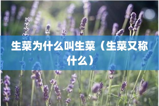 生菜为什么叫生菜（生菜又称什么）