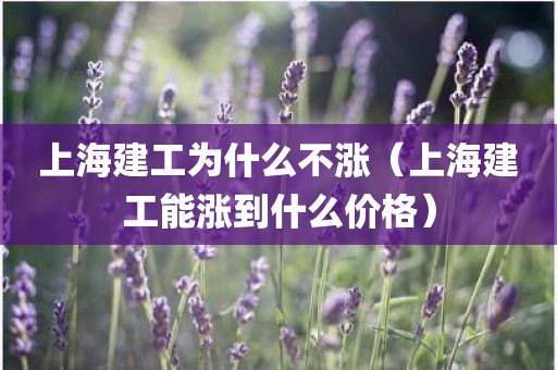 上海建工为什么不涨(上海建工能涨到什么价格)