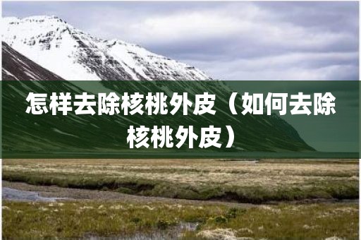 怎样去除核桃外皮（如何去除核桃外皮）