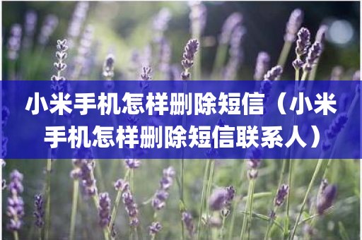 小米手机怎样删除短信（小米手机怎样删除短信联系人）