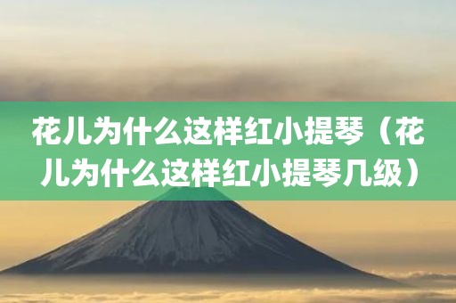 花儿为什么这样红小提琴（花儿为什么这样红小提琴几级）