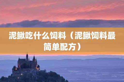 泥鳅吃什么饲料（泥鳅饲料最简单配方）