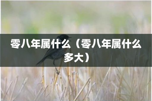零八年属什么(零八年属什么多大)