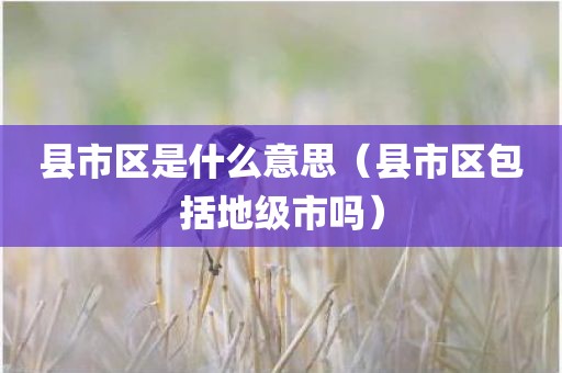县市区是什么意思（县市区包括地级市吗）
