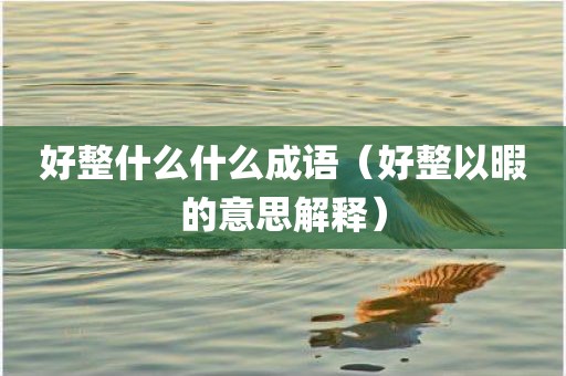 好整什么什么成语（好整以暇的意思解释）