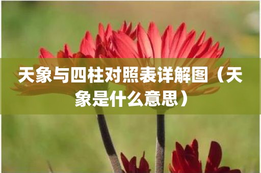天象与四柱对照表详解图（天象是什么意思）