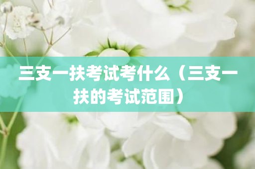 三支一扶考试考什么（三支一扶的考试范围）