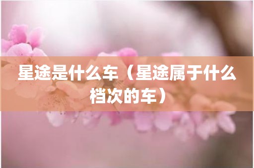 星途是什么车（星途属于什么档次的车）