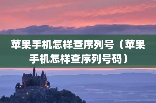 苹果手机怎样查序列号（苹果手机怎样查序列号码）