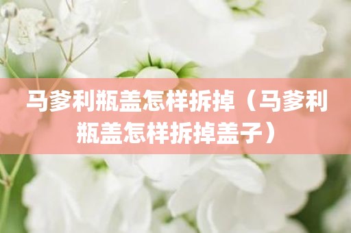 马爹利瓶盖怎样拆掉（马爹利瓶盖怎样拆掉盖子）