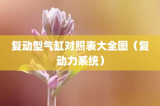 复动型气缸对照表大全图（复动力系统）