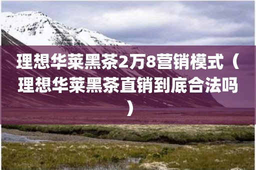 理想华莱黑茶2万8营销模式（理想华莱黑茶直销到底合法吗）