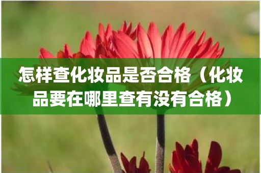 怎样查化妆品是否合格(化妆品要在哪里查有没有合格) 怎样查化妆品是否合格(化妆品要在哪里查有没有合格)