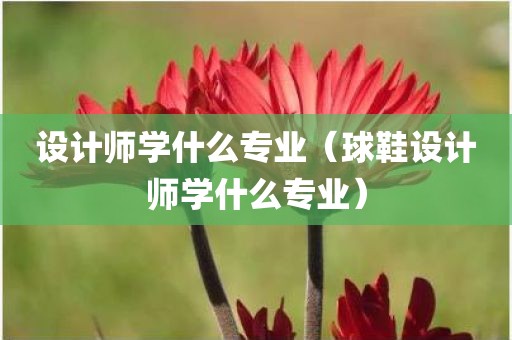 设计师学什么专业（球鞋设计师学什么专业）