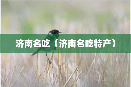 济南名吃（济南名吃特产）